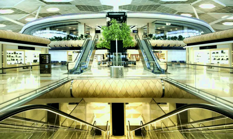 Aeropuerto Internacional Heydar Aliyev