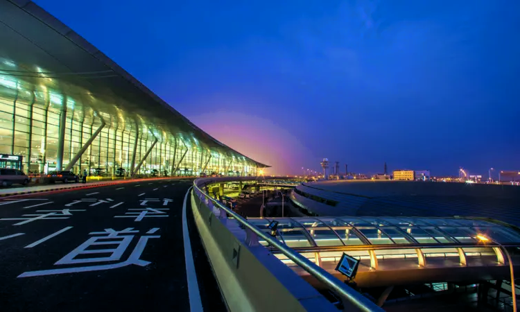 Aeropuerto Internacional Lukou de Nankín