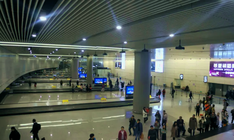 Aeropuerto Internacional Lukou de Nankín