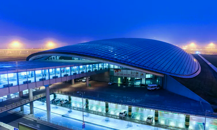 Aeropuerto Internacional Shenyang Taoxian