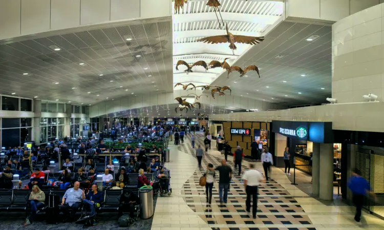 Aeropuerto Internacional de Tampa