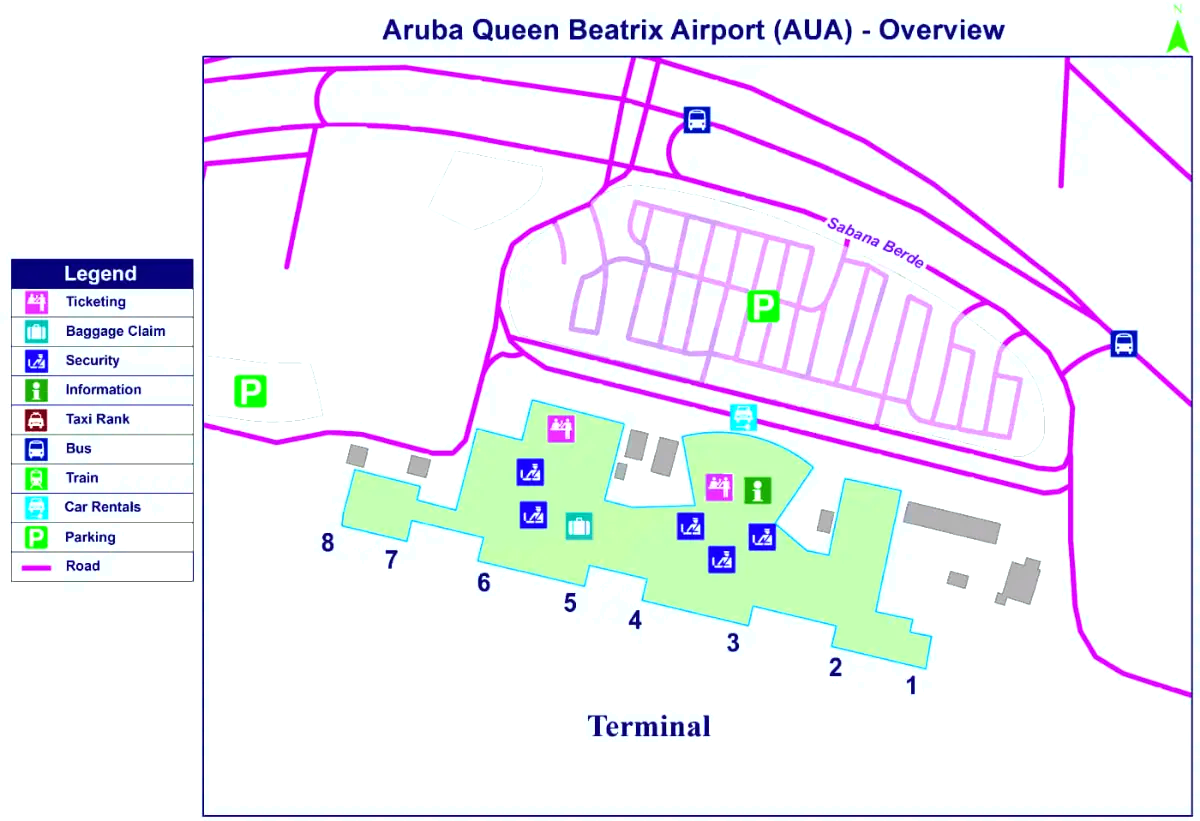 Aeropuerto Internacional Reina Beatriz